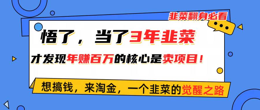 悟了，当了3年韭菜，才发现网赚圈年赚100万的核心是卖项目，含泪分享！71快客-网赚-兼职-视频代发71快客网
