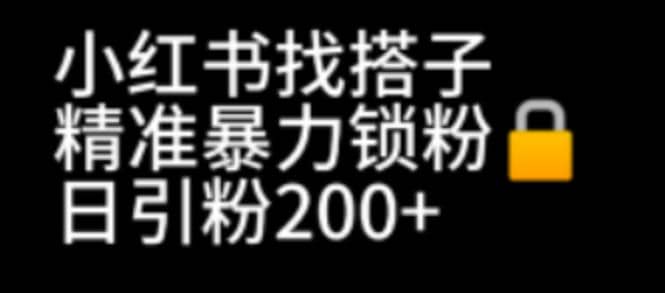 小红书找搭子暴力精准锁粉+引流日引200+精准粉71快客-网赚-兼职-视频代发71快客网