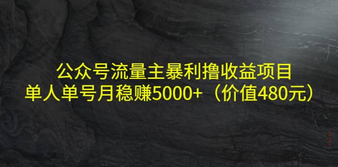 公众号流量主暴利撸收益项目，单人单号月稳赚5000+（价值480元）71快客-网赚-兼职-视频代发71快客网