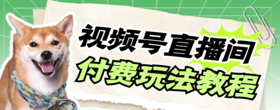 视频号美女付费无人直播，轻松日入500+【详细玩71快客-网赚-兼职-视频代发71快客网