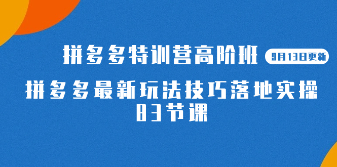 2023拼多多·特训营高阶班【9月13日更新】拼多多最新玩法技巧落地实操-83节71快客-网赚-兼职-视频代发71快客网