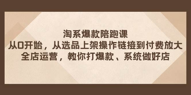 淘系爆款陪跑课 从选品上架操作链接到付费放大 全店运营 打爆款 系统做好店71快客-网赚-兼职-视频代发71快客网