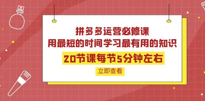 拼多多运营必修课：20节课每节5分钟左右，用最短的时间学习最有用的知识71快客-网赚-兼职-视频代发71快客网