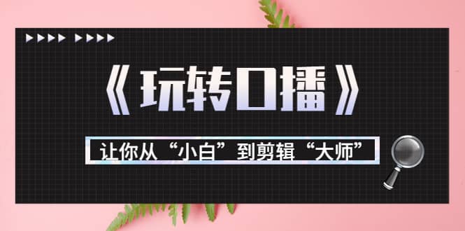 月营业额700万+大佬教您《玩转口播》让你从“小白”到剪辑“大师”71快客-网赚-兼职-视频代发71快客网
