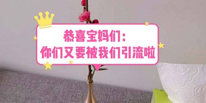 恭喜宝妈们：你们又要被我们引流了（教程+222g资料）71快客-网赚-兼职-视频代发71快客网
