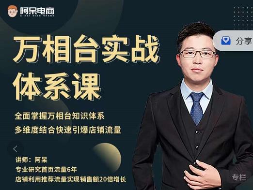 阿呆-万相台实战体系课，帮您全面掌握万相台知识体系71快客-网赚-兼职-视频代发71快客网
