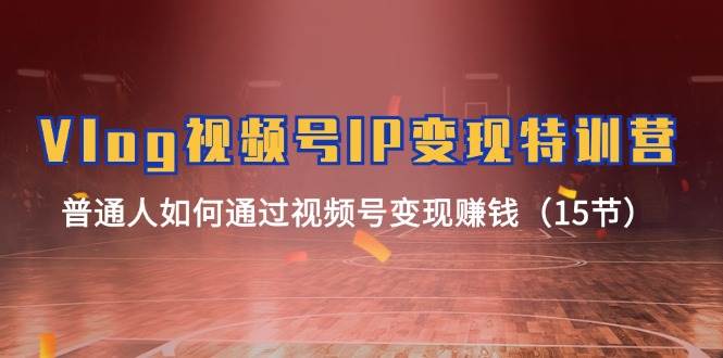 Vlog 视频号IP变现特训营，普通人如何通过视频号变现赚钱（15节）71快客-网赚-兼职-视频代发71快客网