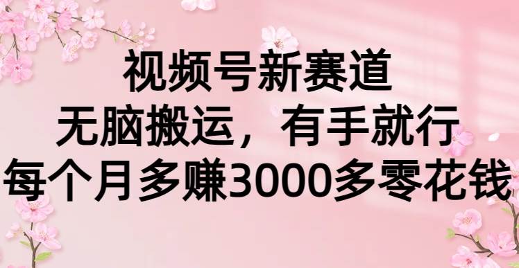视频号新赛道，无脑搬运，有手就行，每个月多赚3000多零花钱71快客-网赚-兼职-视频代发71快客网
