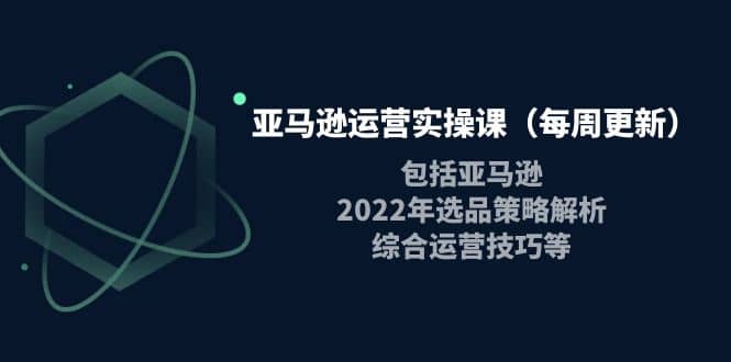 亚马逊运营实操课（每周更新）包括亚马逊2022选品策略解析，综合运营技巧等71快客-网赚-兼职-视频代发71快客网