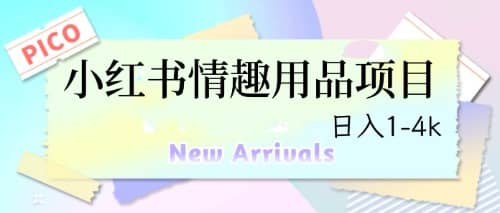 最新小红书情趣用品项目，日入1-4k71快客-网赚-兼职-视频代发71快客网
