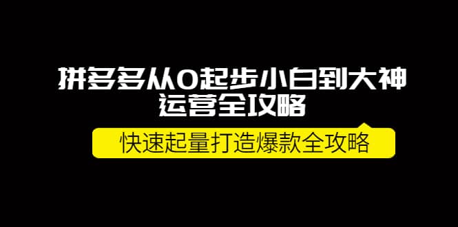 拼多多从0起步小白到大神运营全攻略71快客-网赚-兼职-视频代发71快客网