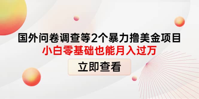 国外问卷调查等2个暴力撸美元项目，小白零基础也能月入过万71快客-网赚-兼职-视频代发71快客网