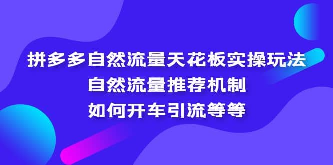 拼多多自然流量天花板实操玩法：自然流量推荐机制，如何开车引流等等71快客-网赚-兼职-视频代发71快客网