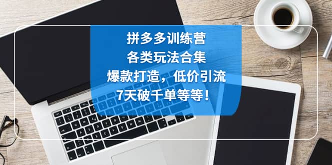 拼多多训练营：各玩法合集，爆款打造，低价引流，7天破千单等等71快客-网赚-兼职-视频代发71快客网