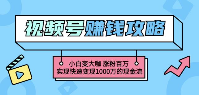 玩转微信视频号赚钱：小白变大咖涨粉百万实现快速变现1000万的现金流71快客-网赚-兼职-视频代发71快客网