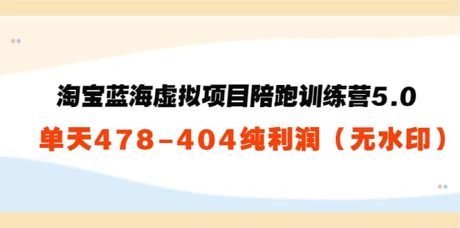 淘宝蓝海虚拟项目陪跑训练营5.0：单天478纯利润（无水印）71快客-网赚-兼职-视频代发71快客网
