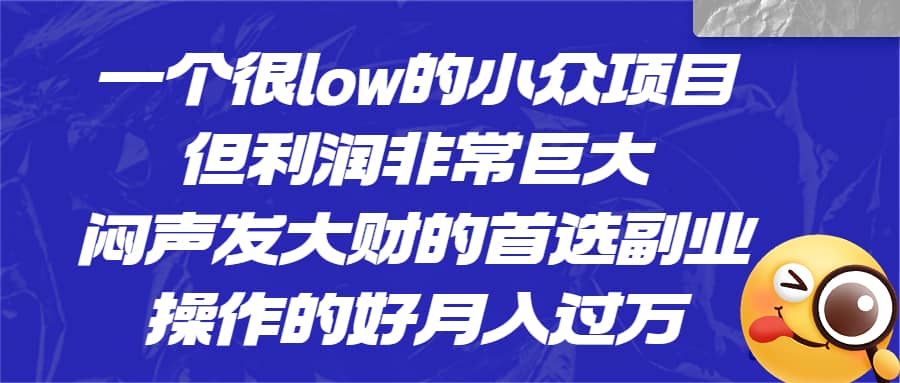一个很low的小众项目，但利润非常巨大，闷声发大财的首选副业，月入过万71快客-网赚-兼职-视频代发71快客网