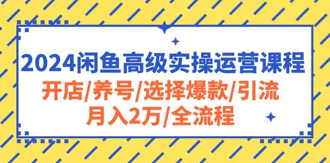 2024闲鱼高级实操运营课程：开店/养号/选择爆款/引流/月入2万/全流程71快客-网赚-兼职-视频代发71快客网