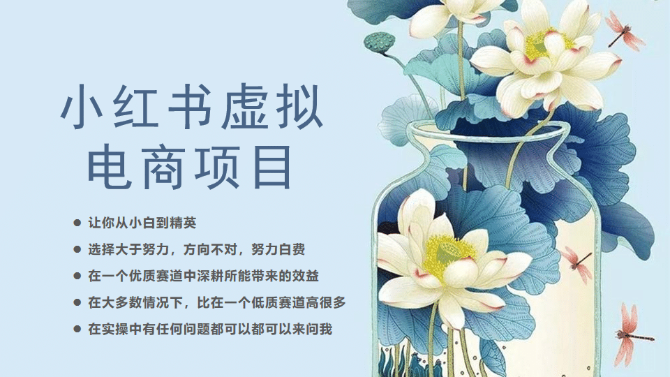 小红书虚拟电商从0到1，让你从小白到精英（20节实操课程）71快客-网赚-兼职-视频代发71快客网