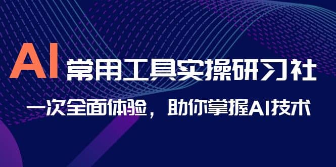 AI-常用工具实操研习社，一次全面体验，助你掌握AI技术71快客-网赚-兼职-视频代发71快客网