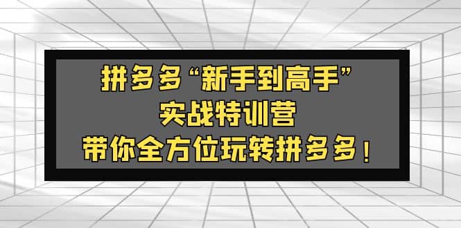 拼多多“新手到高手”实战特训营：带你全方位玩转拼多多71快客-网赚-兼职-视频代发71快客网