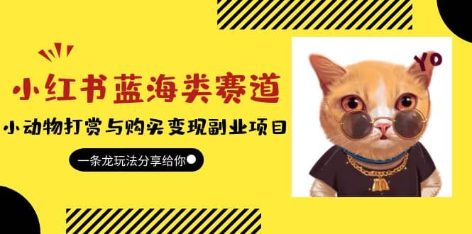 小红书蓝海类赛道：小动物打赏与购买变现副业项目，一条龙玩法分享给你71快客-网赚-兼职-视频代发71快客网