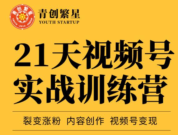 张萌21天视频号实战训练营，裂变涨粉、内容创作、视频号变现 价值298元71快客-网赚-兼职-视频代发71快客网