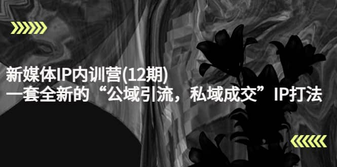 新媒体IP内训营(12期)，一套全新的“公域引流，私域成交”IP打法，直接带走71快客-网赚-兼职-视频代发71快客网