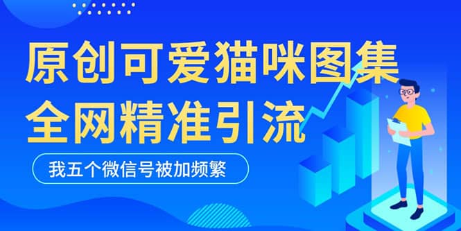 黑科技纯原创可爱猫咪图片，全网精准引流，实操5个VX号被加频繁71快客-网赚-兼职-视频代发71快客网