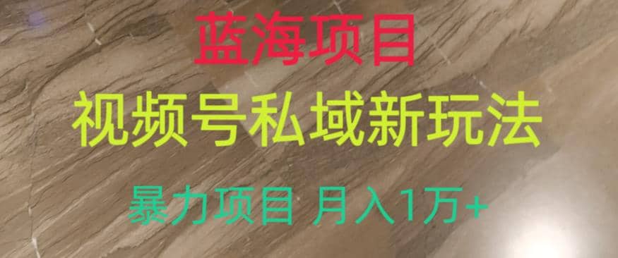 蓝海项目，视频号私域新玩法，暴力项目月入1万+【揭秘】71快客-网赚-兼职-视频代发71快客网