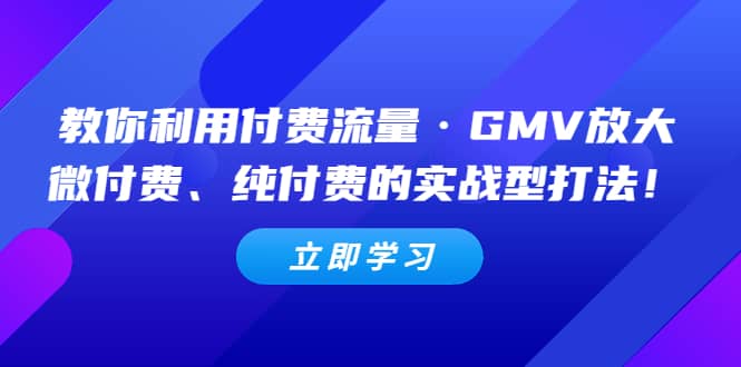 教你利用付费流量·GMV放大，微付费、纯付费的实战型打法71快客-网赚-兼职-视频代发71快客网
