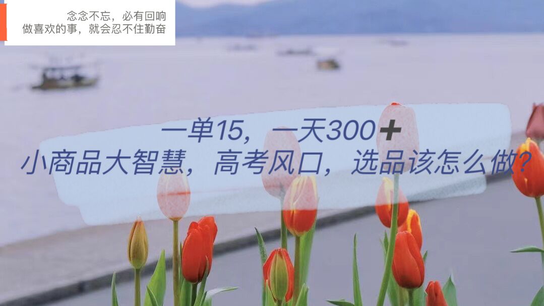 一单15，一天300+，小商品大智慧，高考风口，选品该怎么布局71快客-网赚-兼职-视频代发71快客网