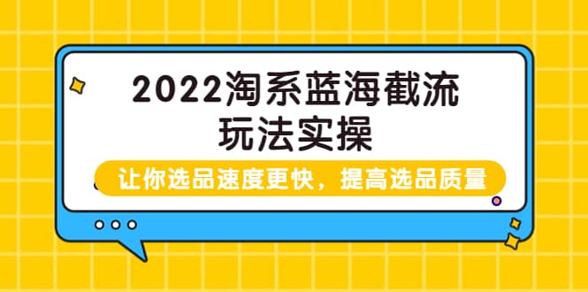 2022淘系蓝海截流玩法实操：让你选品速度更快，提高选品质量（价值599）71快客-网赚-兼职-视频代发71快客网