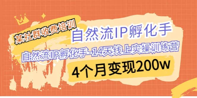 某社群收费培训：自然流IP 孵化手-14天线上实操训练营 4个月变现200w71快客-网赚-兼职-视频代发71快客网