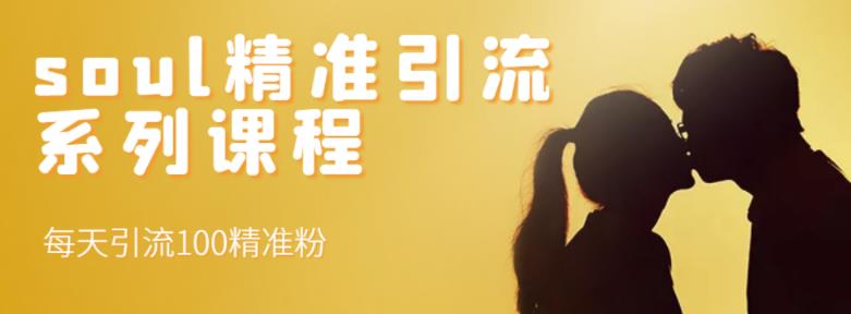 soul精准引流系列课程，每天引流100精准粉71快客-网赚-兼职-视频代发71快客网