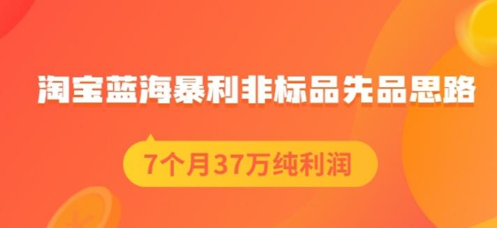 盗坤淘宝蓝海暴利非标品先品思路，7个月37万纯利润，压箱干货分享！【付费文章】71快客-网赚-兼职-视频代发71快客网