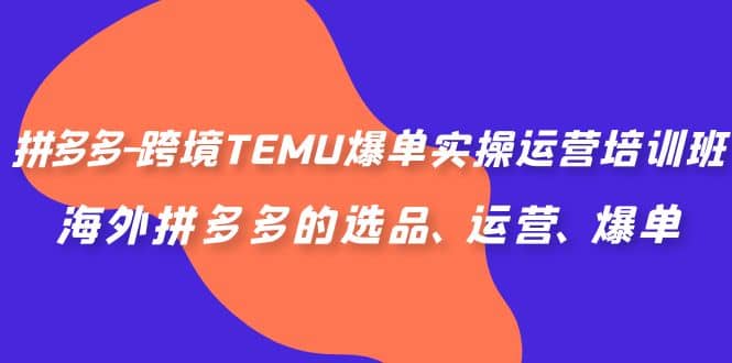 拼多多-跨境TEMU爆单实操运营培训班，海外拼多多的选品、运营、爆单71快客-网赚-兼职-视频代发71快客网