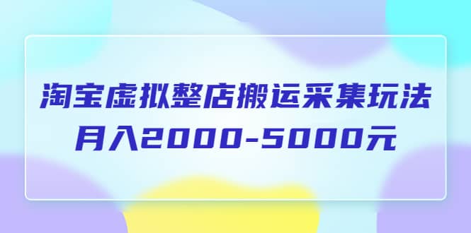 淘宝虚拟整店搬运采集玩法分享课：月入2000-5000元（5节课）71快客-网赚-兼职-视频代发71快客网
