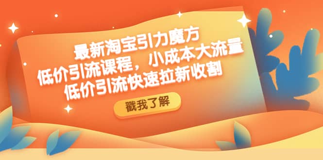 最新淘宝引力魔方低价引流实操：小成本大流量71快客-网赚-兼职-视频代发71快客网