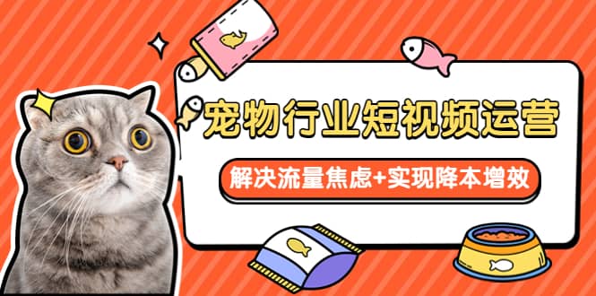 宠物/行业短视频运营 流量增长的一层窗户纸 解决流量焦虑+实现降本增效71快客-网赚-兼职-视频代发71快客网