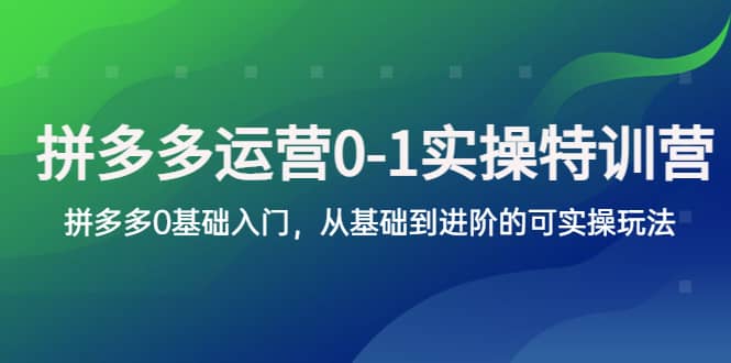 拼多多-运营0-1实操训练营，拼多多0基础入门，从基础到进阶的可实操玩法71快客-网赚-兼职-视频代发71快客网