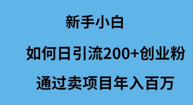 新手小白如何日引流200+创业粉通过卖项目年入百万71快客-网赚-兼职-视频代发71快客网