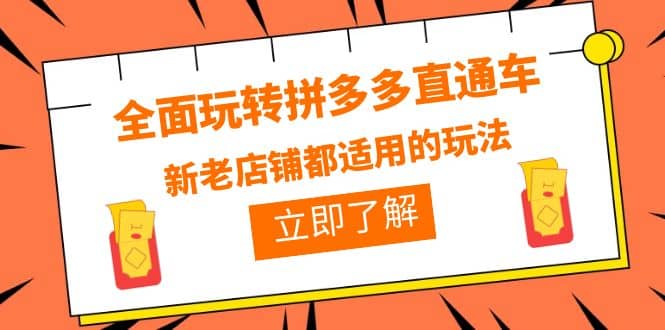 全面玩转拼多多直通车，新老店铺都适用的玩法（12节精华课）71快客-网赚-兼职-视频代发71快客网