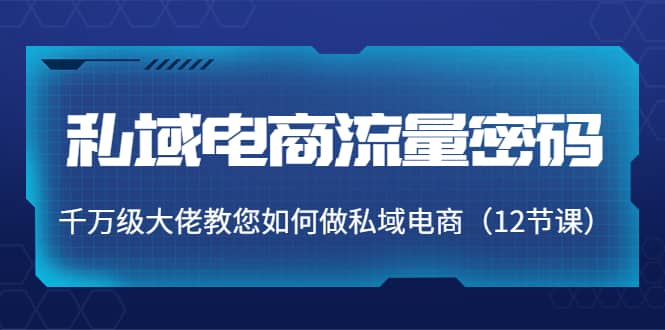 私域电商流量密码：千万级大佬教您如何做私域电商（12节课）71快客-网赚-兼职-视频代发71快客网