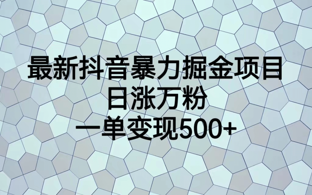 最火热的抖音暴力掘金项目，日涨万粉，多种变现方式，一单变现可达500+71快客-网赚-兼职-视频代发71快客网