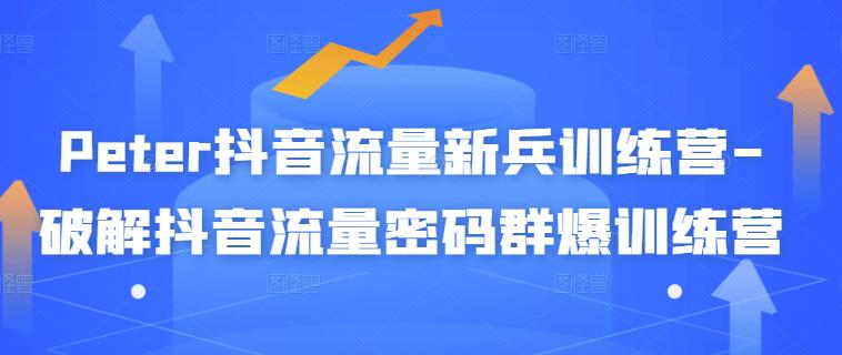 Peter抖音流量新兵训练营-破解抖音流量密码群爆训练营（新兵）71快客-网赚-兼职-视频代发71快客网