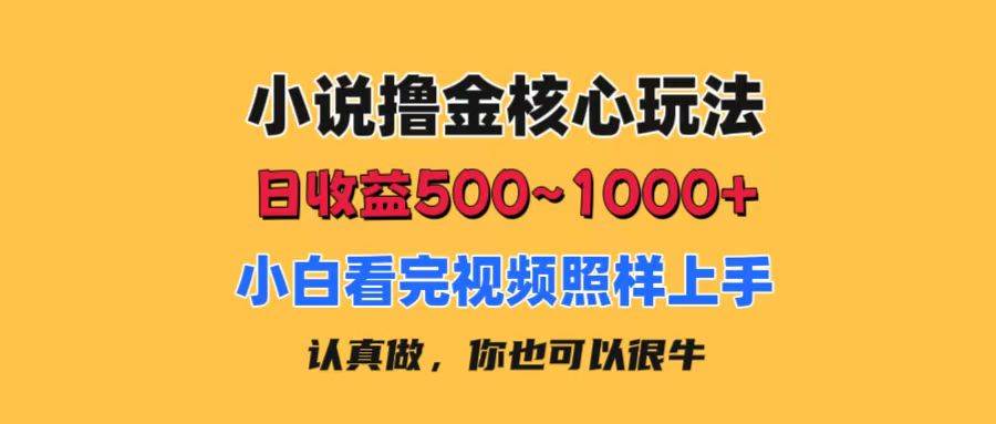小说撸金核心玩法，日收益500-1000+，小白看完照样上手，0成本有手就行71快客-网赚-兼职-视频代发71快客网