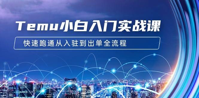 Temu小白入门实战课：跨境拼多多电商培训 快速跑通从入驻到出单全流程-12节71快客-网赚-兼职-视频代发71快客网