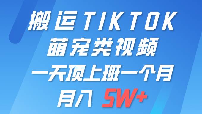 一键搬运TIKTOK萌宠类视频 一部手机即可操作 所有平台均可发布 轻松月入5W+71快客-网赚-兼职-视频代发71快客网