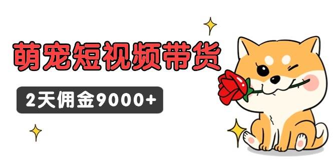 东哲日记·萌宠短视频带货，2天佣金9000+71快客-网赚-兼职-视频代发71快客网